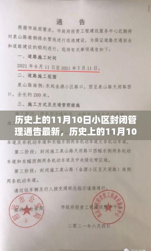 历史上的11月10日小区封闭管理政策深度解读与个人观点阐述，最新通告与深度探讨