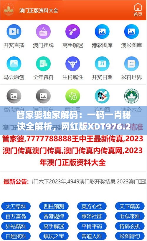 管家婆独家解码：一码一肖秘诀全解析，网红版XDT976.28安全攻略