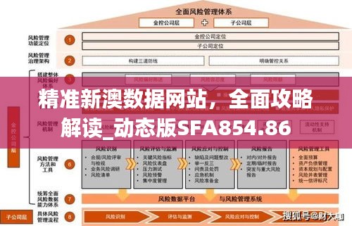 精准新澳数据网站，全面攻略解读_动态版SFA854.86