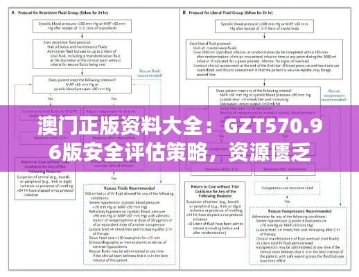 澳门正版资料大全：GZT570.96版安全评估策略，资源匮乏