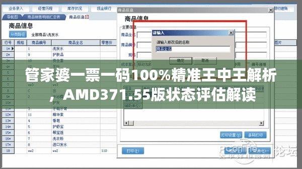 管家婆一票一码100%精准王中王解析，AMD371.55版状态评估解读