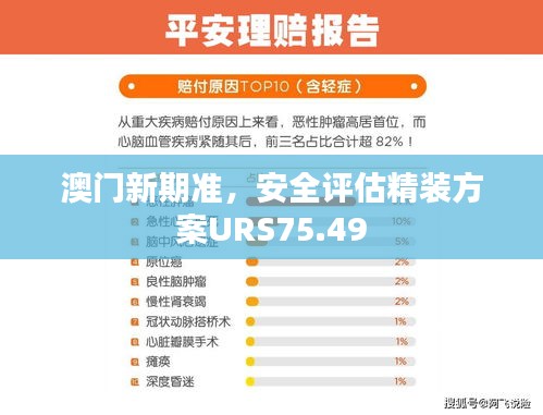 澳门新期准，安全评估精装方案URS75.49