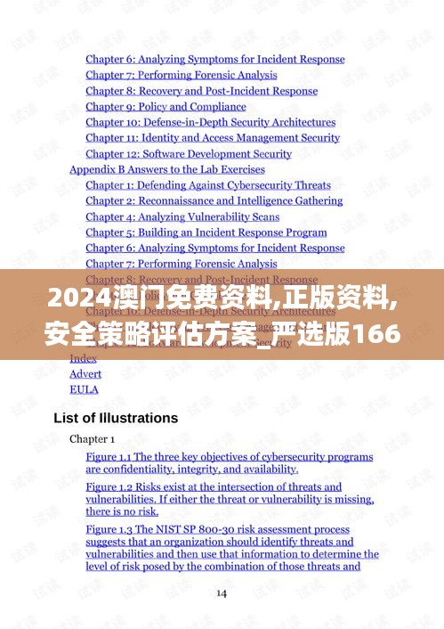 2024澳门免费资料,正版资料,安全策略评估方案_严选版166.58