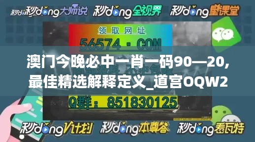 澳门今晚必中一肖一码90—20,最佳精选解释定义_道宫OQW287.2