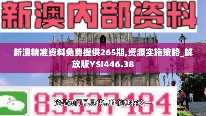 新澳精准资料免费提供265期,资源实施策略_解放版YSI446.38