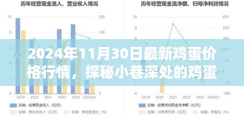 探秘小巷深处的鸡蛋宝藏，揭秘最新鸡蛋价格行情，2024年11月最新报告出炉！