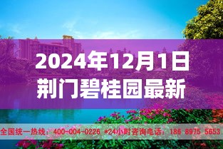 荆门碧桂园房价变迁背后的励志故事，自信与成就感的源泉，最新房价展望2024年12月1日