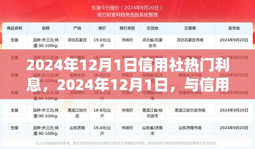 2024年12月1日信用社利息热点解析，探寻自然之美与内心宁静的旅程