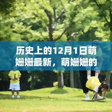 萌姗姗的特别日记，历史上的12月1日，爱与陪伴的温馨篇章回顾