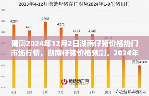 2024年湖南仔猪价格预测及市场行情展望，12月2日的热门趋势分析