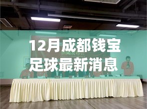 揭秘成都钱宝足球最新动态，赛场风云与未来展望（12月更新）