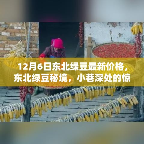 东北绿豆最新价格揭秘，小巷深处的惊喜与秘境探索