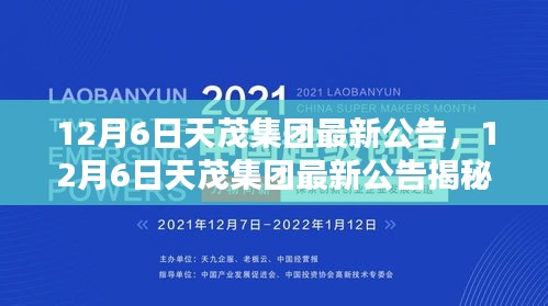 揭秘，天茂集团最新公告引领行业新动向，12月6日重磅发布