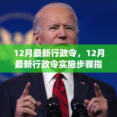 12月最新行政令详解与实施步骤指南，适合初学者与进阶用户