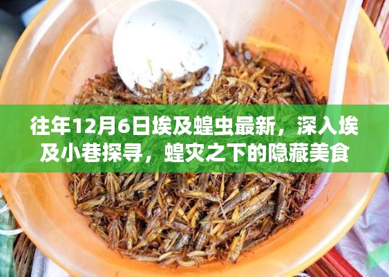 深入埃及探寻蝗灾之下的美食瑰宝，揭秘隐藏在小巷中的美食故事