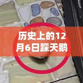 揭秘历史上踩天鹅蛋男子的最新消息与故事回顾