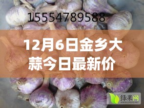 揭秘金乡大蒜市场最新动态，深度观察大蒜价格走势——以金乡大蒜今日最新价格为例（12月6日）