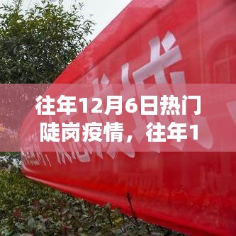 往年12月6日热门陡岗疫情深度解析与全面评测报告