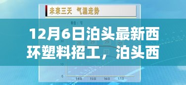 泊头西环塑料招工详评，产品特性、使用体验、竞品对比及目标用户群体分析揭秘