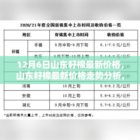 山东籽棉最新价格动态，走势分析与观点探讨（12月6日）