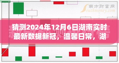 湖南新冠疫情下的温馨日常，新冠小秘密与家的温暖时光（实时更新至2024年12月6日）