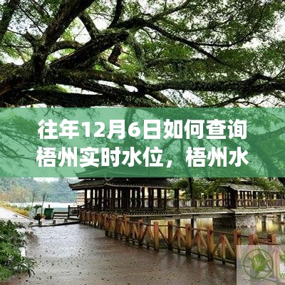 揭秘梧州水韵之旅，如何查询往年12月6日实时水位，寻找心灵宁静与平和的旅程。