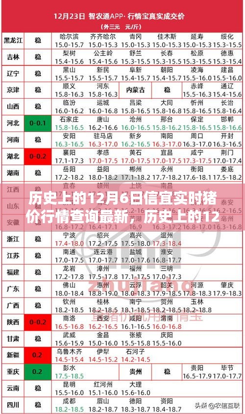 历史上的12月6日信宜实时猪价行情揭秘，最新动态与实时更新查询