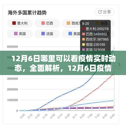 12月6日疫情实时动态全面解析及查看平台