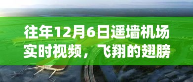 飞翔的翅膀，遥墙机场实时视频展现学习与变化的力量