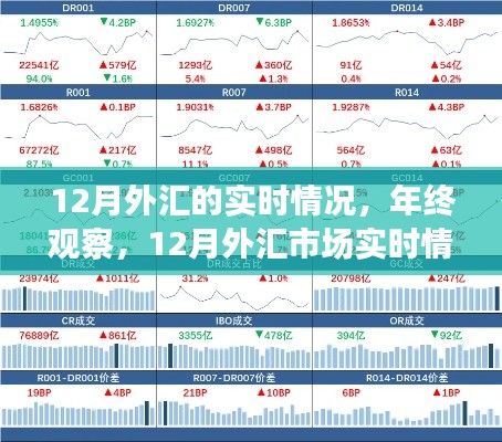 年终观察，深度评测12月外汇市场实时动态与趋势分析