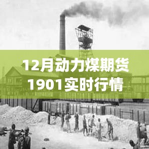 跃动机遇，掌握12月动力煤期货1901实时行情，自信成就未来