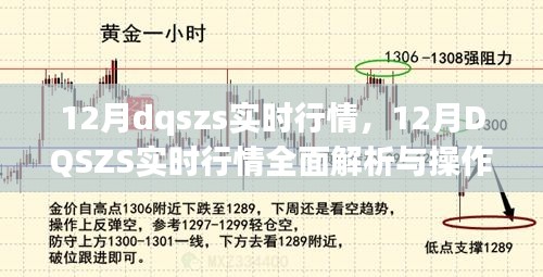 12月DQSZS实时行情全面解析与操作指南，掌握最新动态，洞悉市场趋势