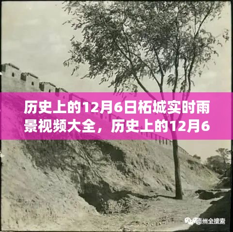 历史上的12月6日柘城雨景回顾，励志篇章中的自信成就与雨景视频大全