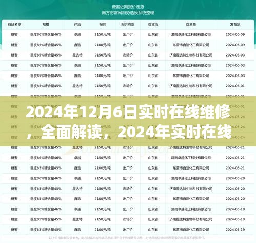 深度解读，2024年实时在线维修服务深度评测——以在线维修为例