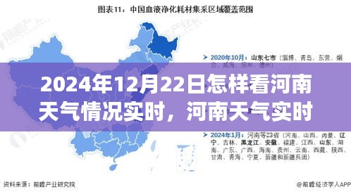 河南冬至气象洞察，2024年12月22日实时天气分析与洞察