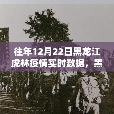 黑龙江虎林疫情回顾，往年12月22日实时数据与影响分析