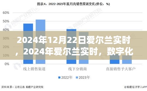 数字化时代的双刃剑效应，爱尔兰在2024年的实时展望与挑战