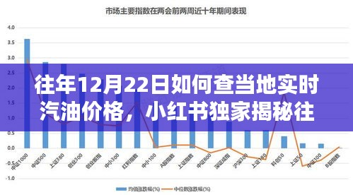 省钱攻略大揭秘，小红书教你轻松查询往年12月22日当地实时汽油价格！