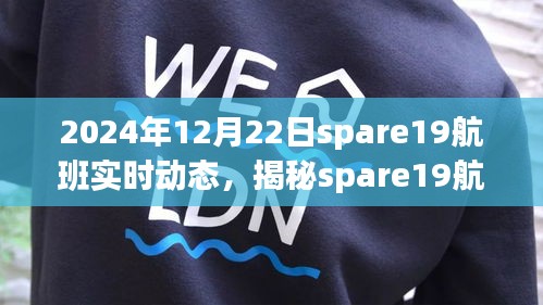 揭秘spare19航班在2024年12月22日的实时动态之旅，深度解析航班动态与飞行要点