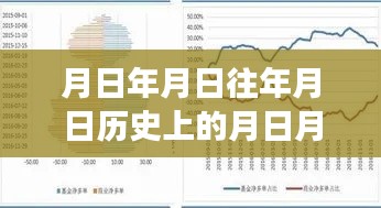 大米价格时空穿梭，全球市场的历史洞察与实时动态分析