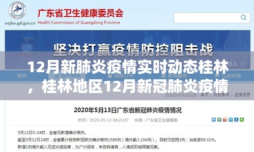 桂林地区12月新冠肺炎疫情实时动态指南，初学者与进阶用户必备资讯