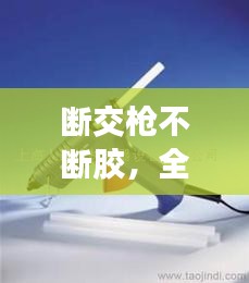 断交枪不断胶，全面解析与应对策略