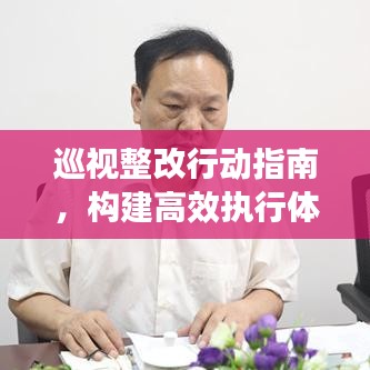 巡视整改行动指南，构建高效执行体系的实践策略