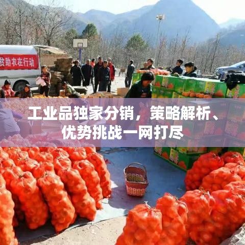 工业品独家分销，策略解析、优势挑战一网打尽