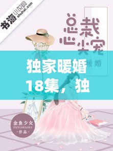 独家暖婚18集，独家暖宠 