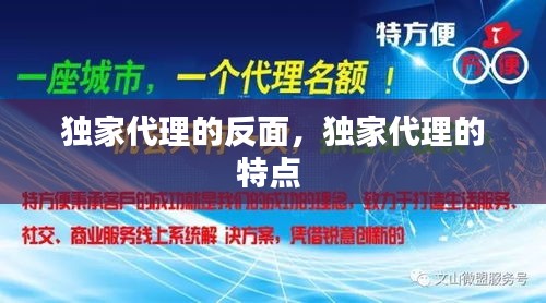 独家代理的反面，独家代理的特点 