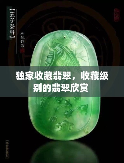 独家收藏翡翠，收藏级别的翡翠欣赏 