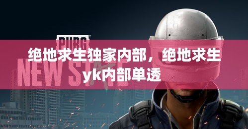 绝地求生独家内部，绝地求生yk内部单透 