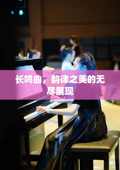 长鸣曲，韵律之美的无尽展现