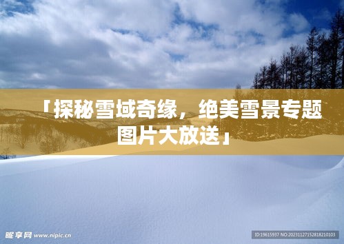 「探秘雪域奇缘，绝美雪景专题图片大放送」